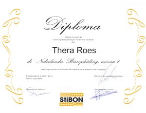 StiBON niveau 1