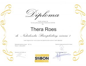 StiBON niveau 2
