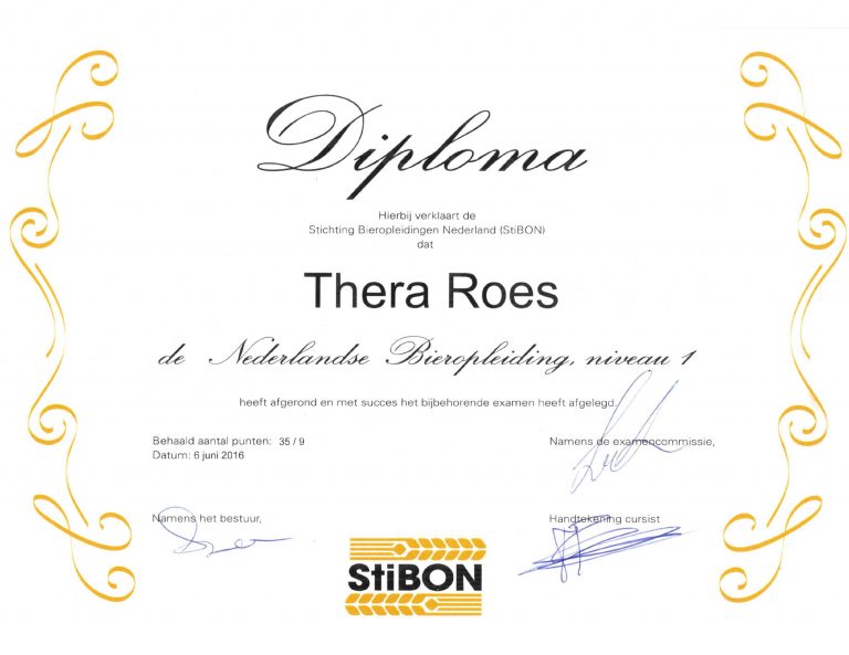 StiBON niveau 1
